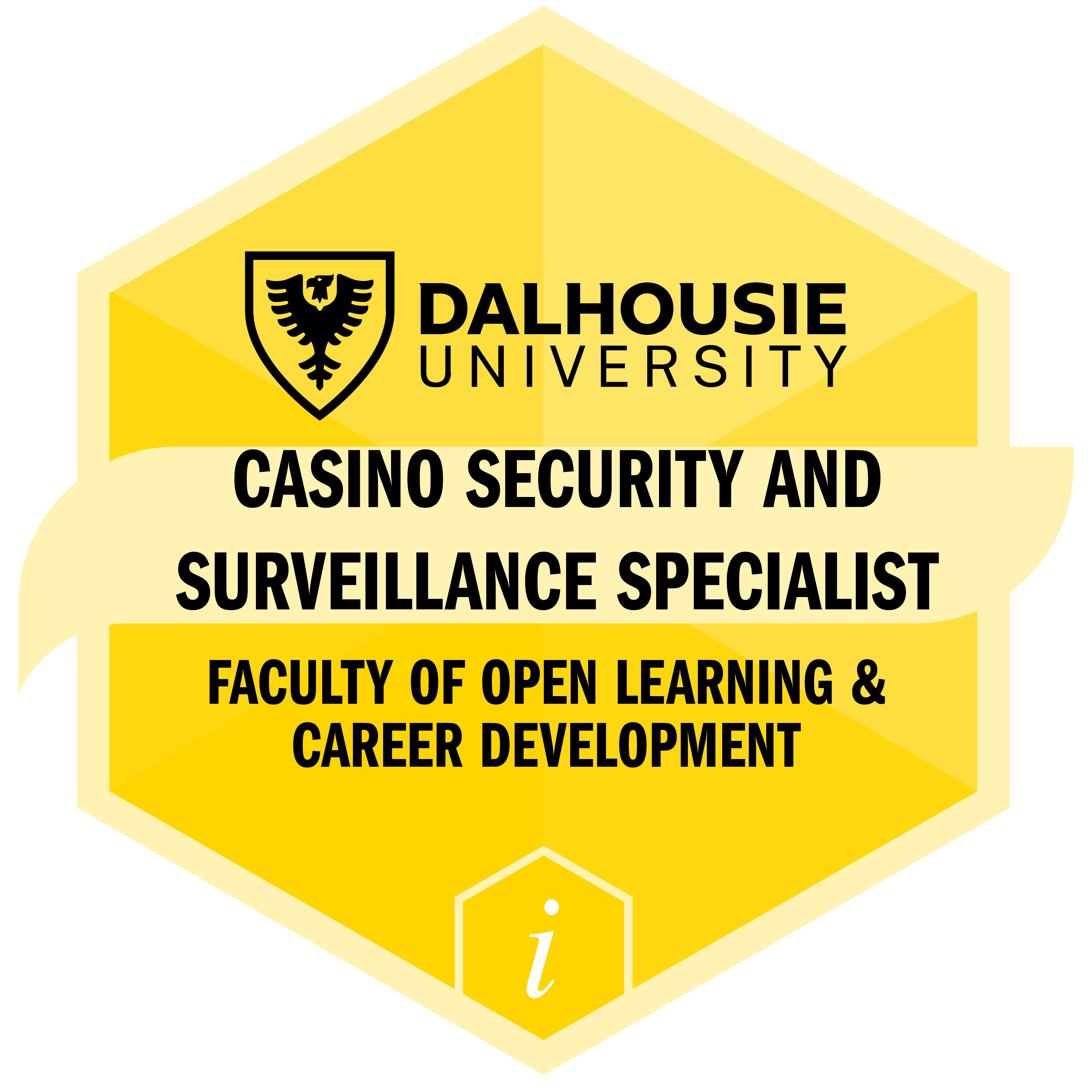 Casino Gaming Compliance and Investigations