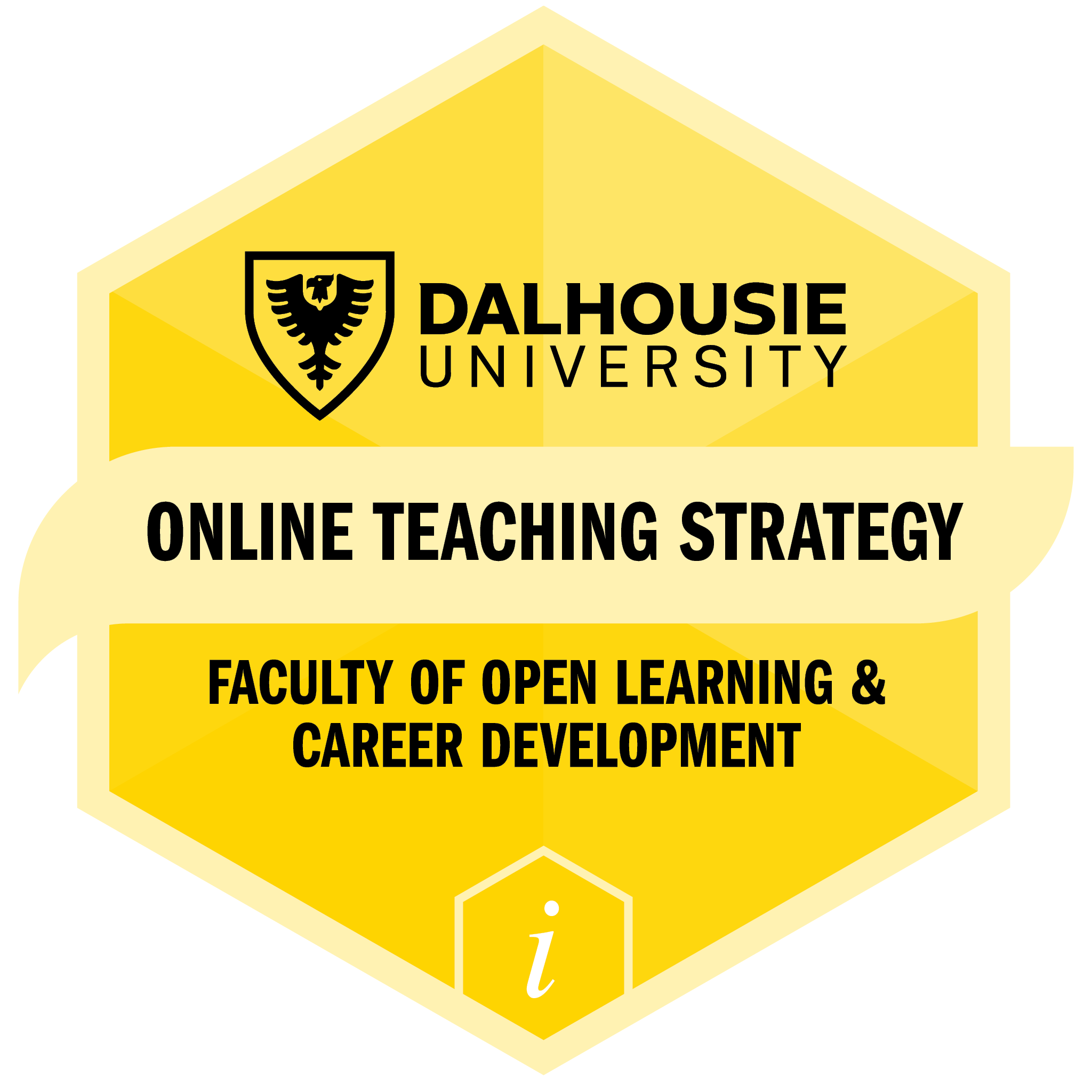 Online Teaching Strategy
