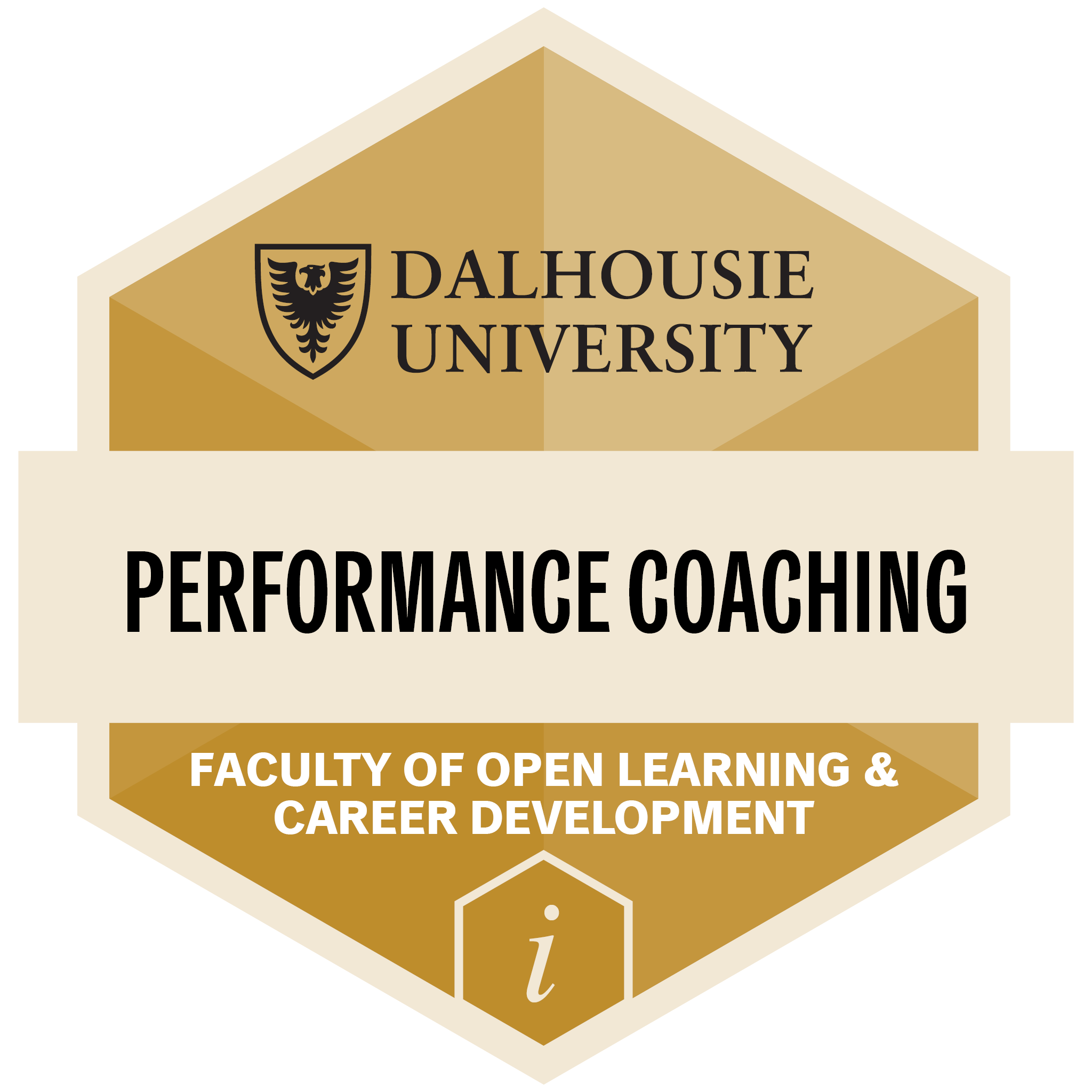 Performance Coaching